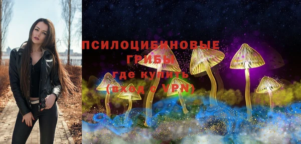 ECSTASY Дмитров