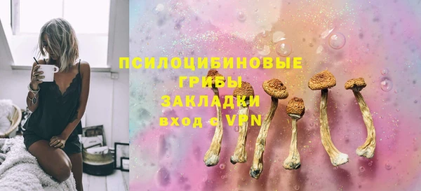 таблы Дмитриев