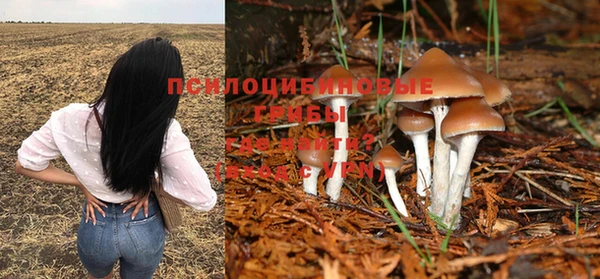 таблы Дмитриев