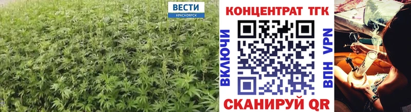 Купить закладки  Кировск  Дистиллят ТГК Wax 